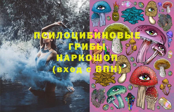 соль ск Вязники