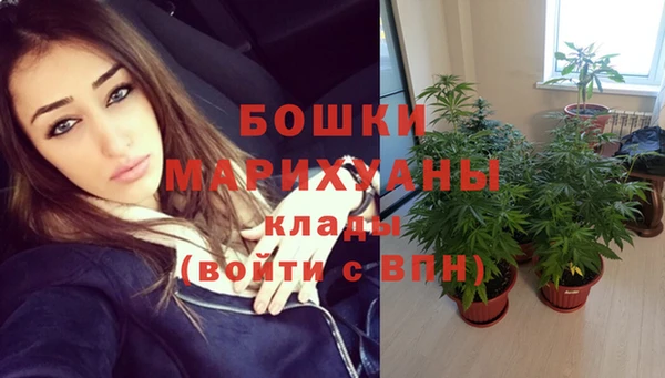 спайс Вязьма
