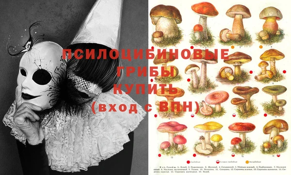 герыч Вяземский
