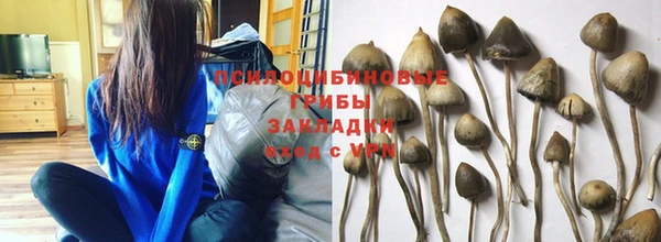соль ск Вязники