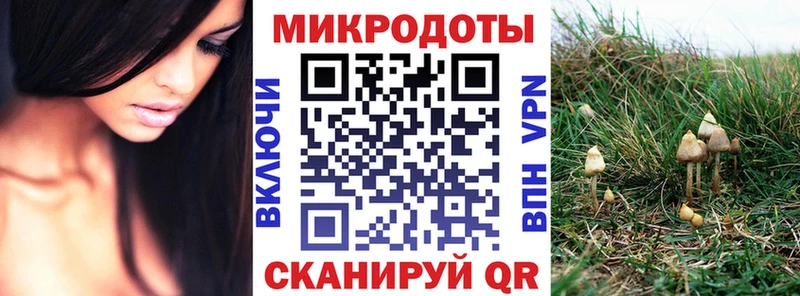 Галлюциногенные грибы GOLDEN TEACHER kraken зеркало Лыткарино